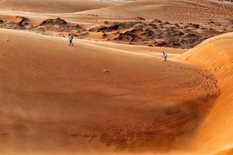 Desert Dunes